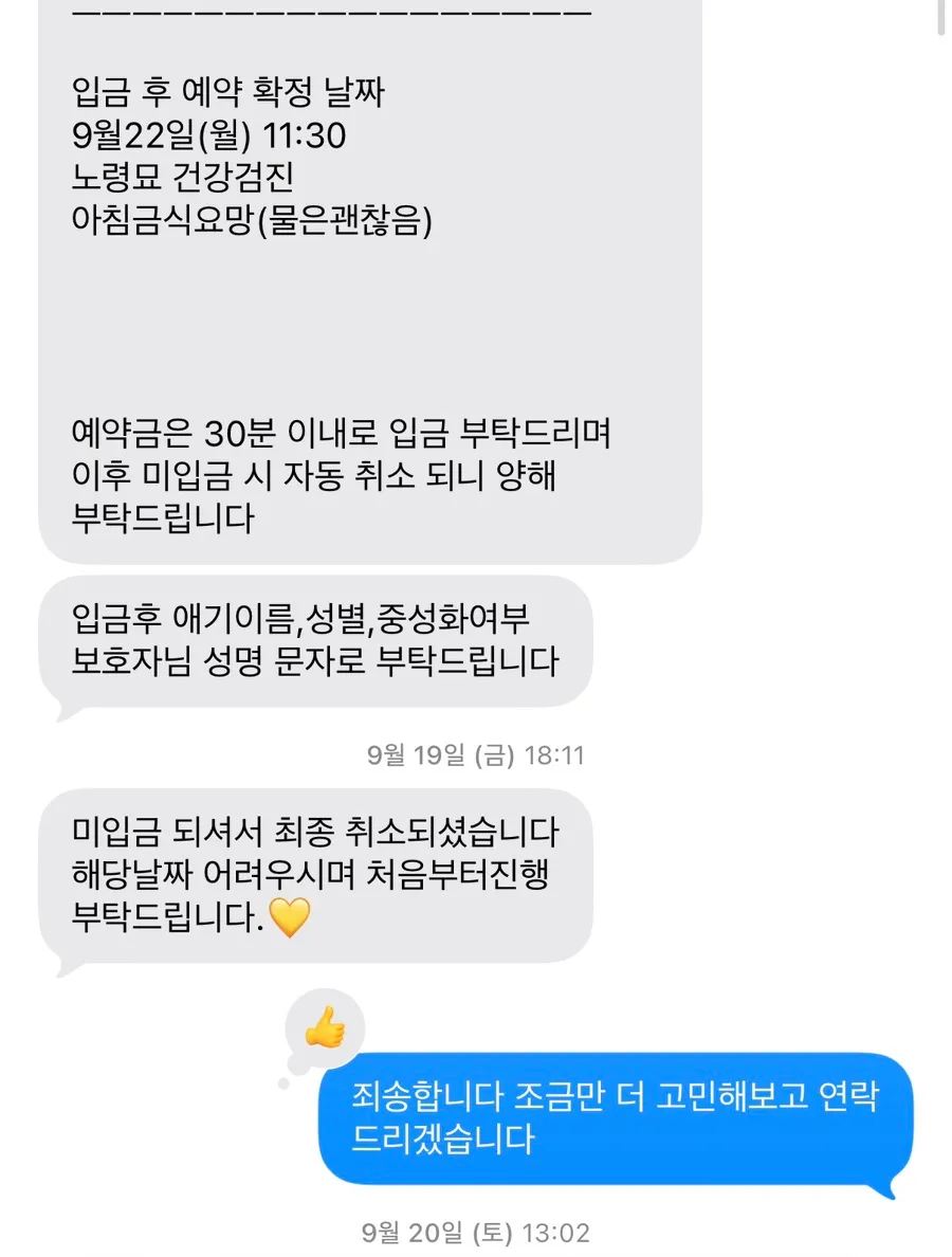 고양이 유선종양 부분적출 비용 및 후기: 합정 아이엠동물병원 — 사진 2
