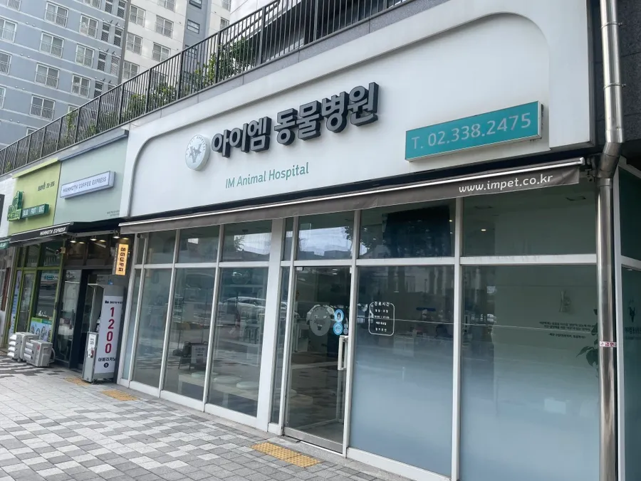 고양이 유선종양 부분적출 비용 및 후기: 합정 아이엠동물병원 — 사진 4