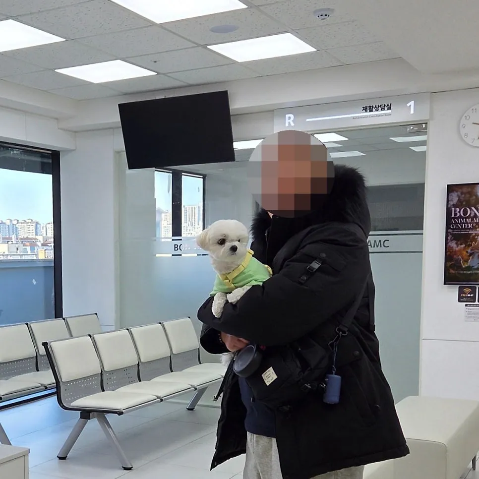 강아지 치석 스케일링 비용, 마취 과정 및 회복 후기 — 사진 4