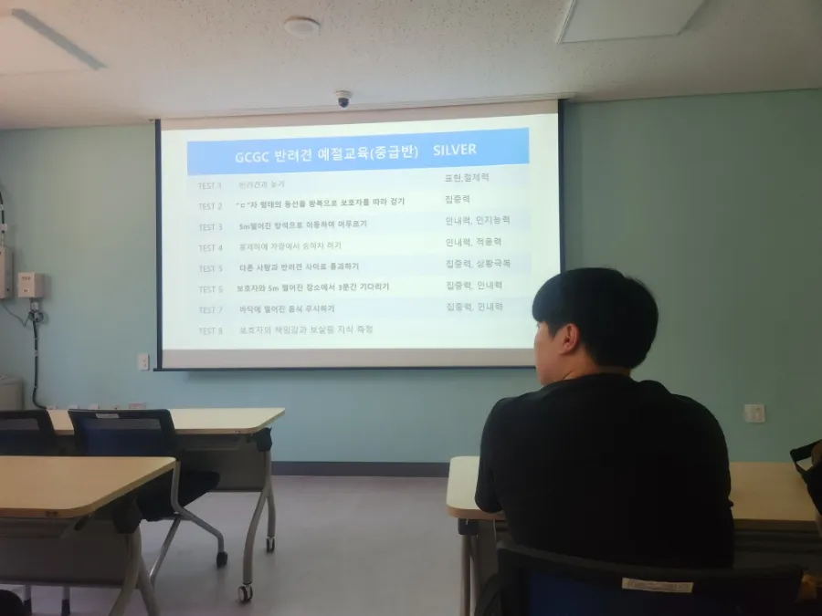 여주 반려마루 중급반: 매트 훈련 완벽 정복 후기 — 사진 4