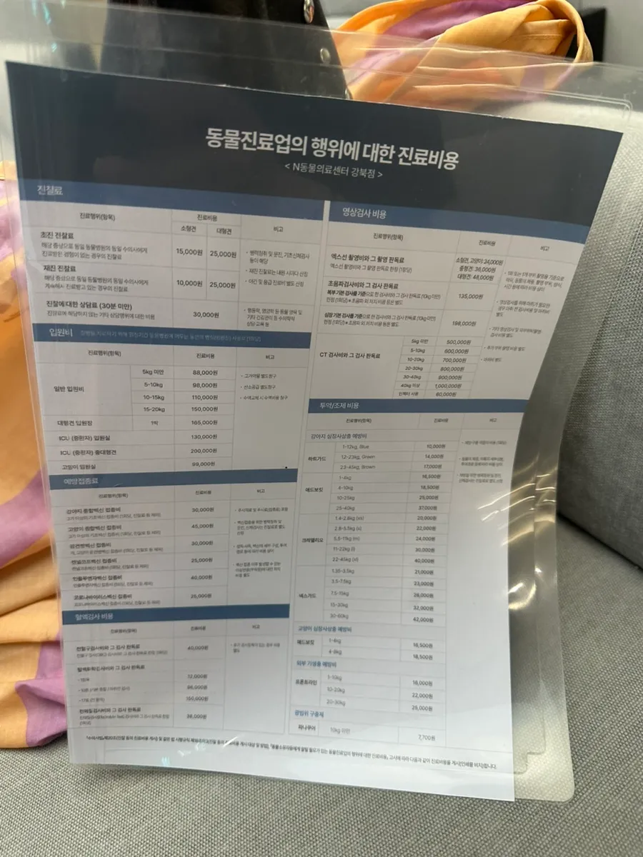 강아지 과오종 제거 수술 후기: N동물병원 비용 및 회복 과정 — 사진 12