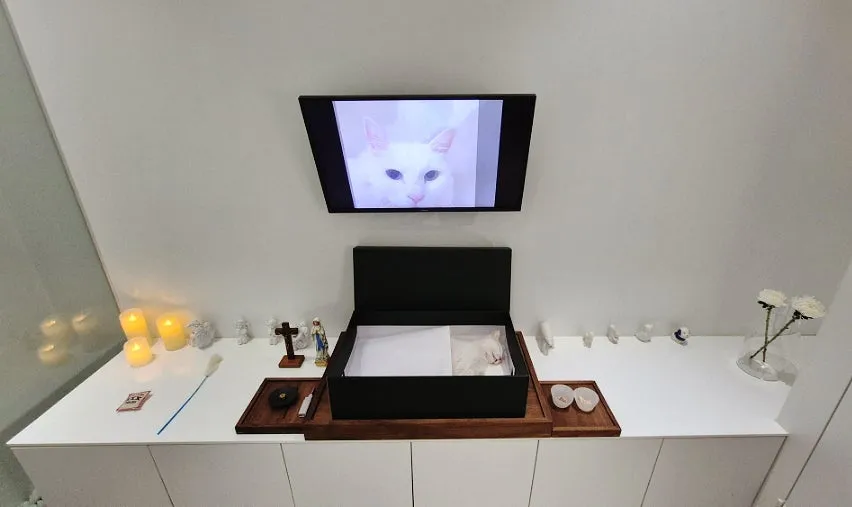 고양이 장례 '펫포레스트 김포' 이용 후기 및 절차 안내 — 사진 4