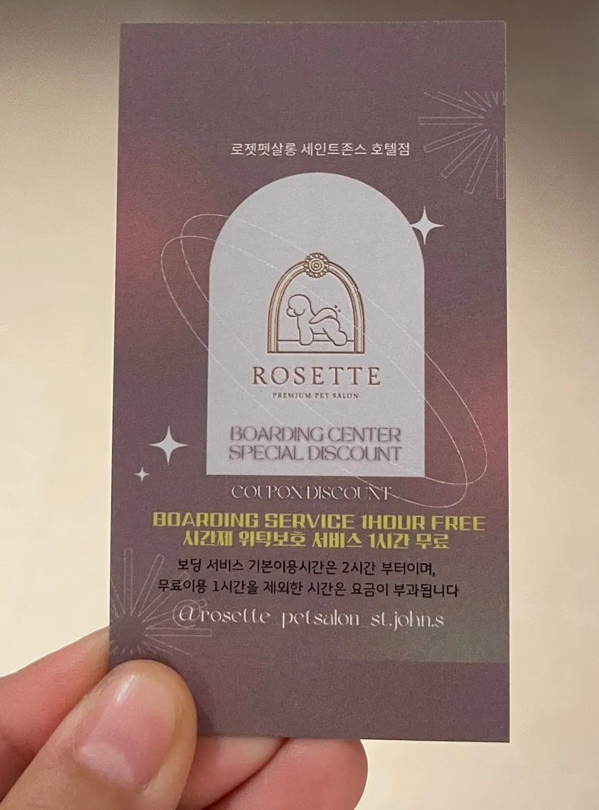 세인트존스 호텔 애견 수영장 & 위탁 후기 (가격 포함)
