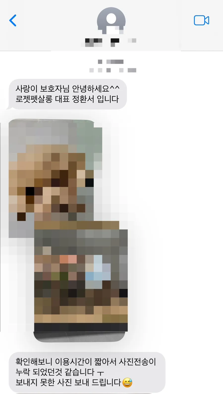 세인트존스 호텔 애견 수영장 & 위탁 후기 (가격 포함) — 사진 2
