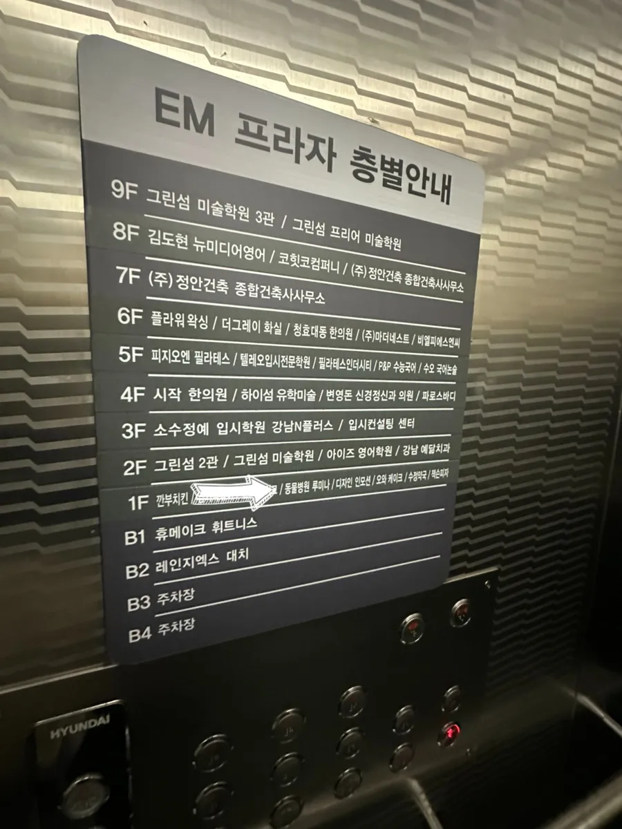 대치동 고양이 건강검진 비용 및 후기: 루미나 내과동물병원 — 사진 6