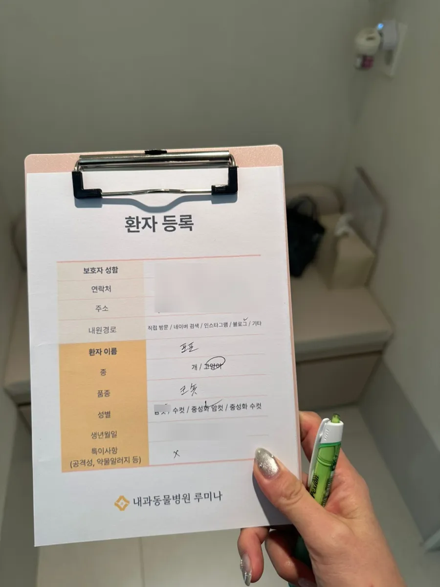 대치동 고양이 건강검진 비용 및 후기: 루미나 내과동물병원 — 사진 9