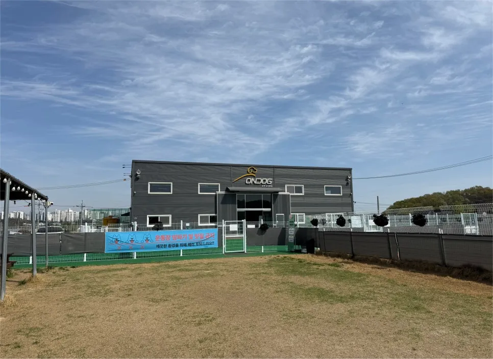 봉담 1500평 천연잔디 애견카페 온독, 반려견 힐링 공간 — 사진 5