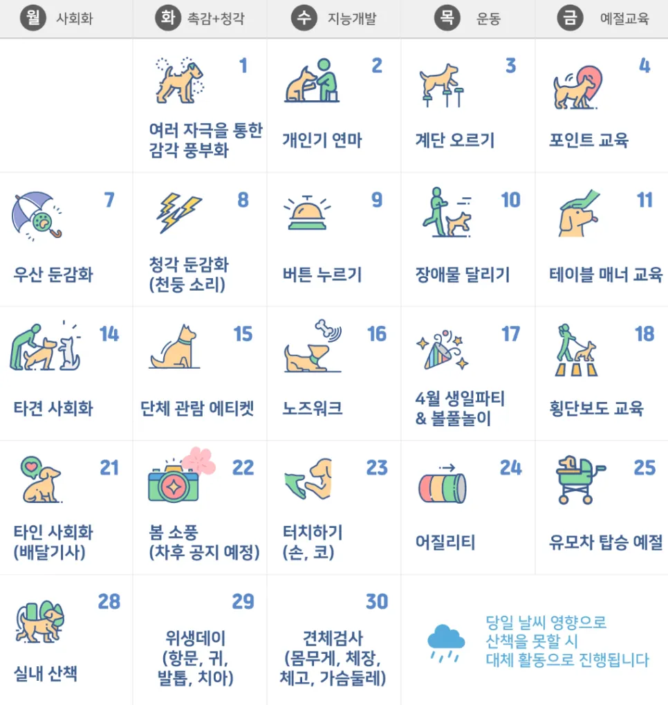 강남 애견유치원 스타몽: 사회화·훈련·안전한 시설 완벽 분석 — 사진 6