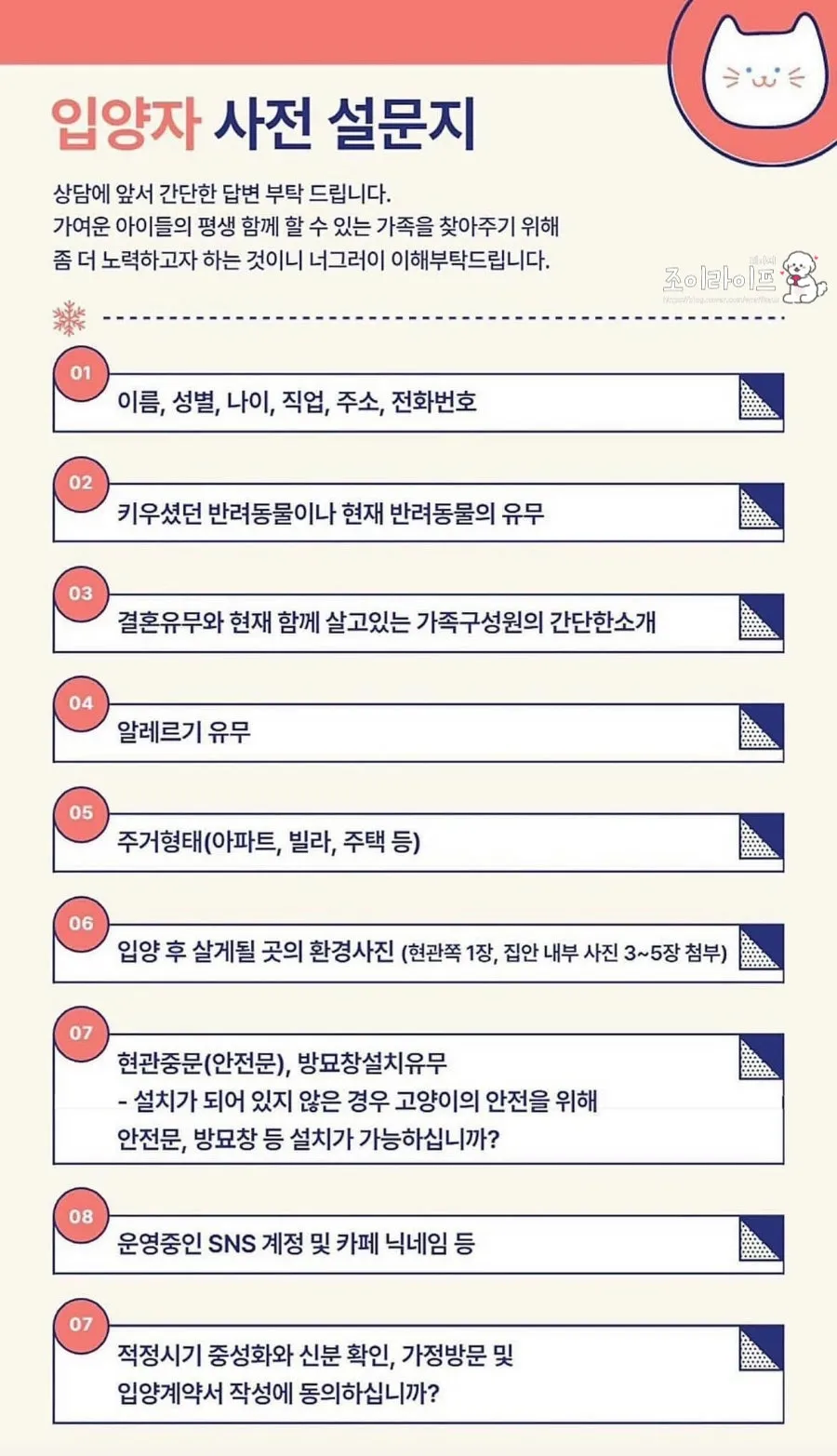 전남 영광 댕댕이꽃마을 시츄 입양 후기 및 절차 안내 — 사진 12