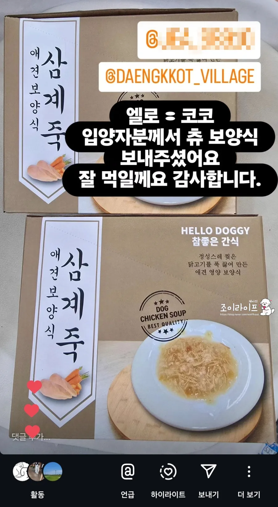전남 영광 댕댕이꽃마을 시츄 입양 후기 및 절차 안내 — 사진 20