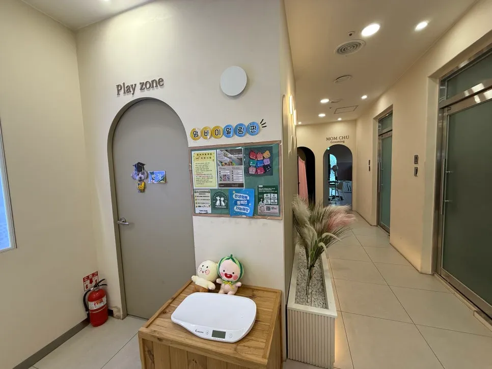 동래구 애견호텔 맘바이, 넓은 룸과 합리적 가격으로 안심 위탁