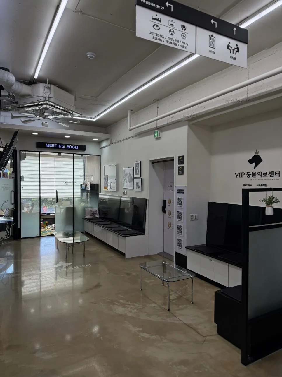 고양이 고관절 수술 후기: VIP동물의료센터 서초점 FHNO 비용 및 회복 — 사진 8