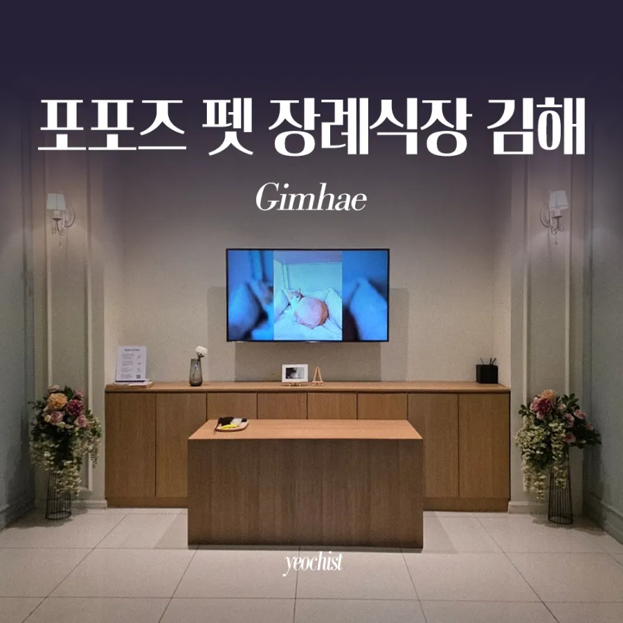 김해 고양이 장례식장 포포즈, 스톤 제작 후기 및 절차 안내