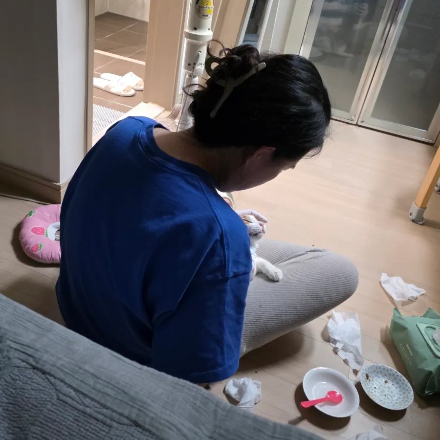 김해 고양이 장례식장 포포즈, 스톤 제작 후기 및 절차 안내 — 사진 2