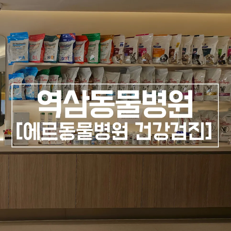 역삼 에르동물병원 포메라니안 6세 건강검진 후기