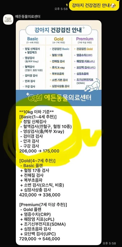 비숑 스케일링 후기 및 건강검진 비용: 예든동물의료센터 — 사진 2