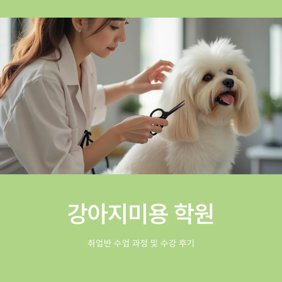 강아지미용 취업반, 실력 향상 및 취업 성공 후기 — 사진 2
