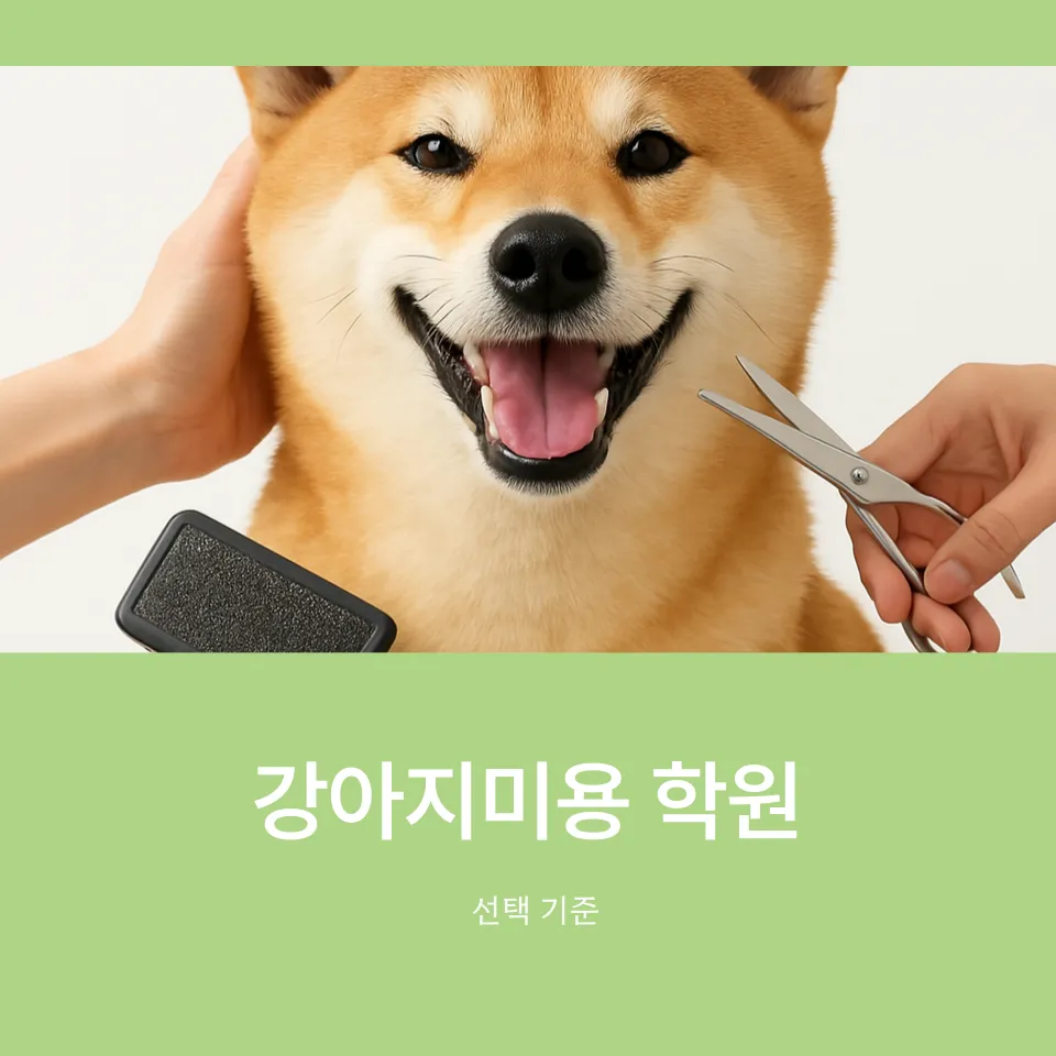 강아지미용 취업반, 실력 향상 및 취업 성공 후기 — 사진 3