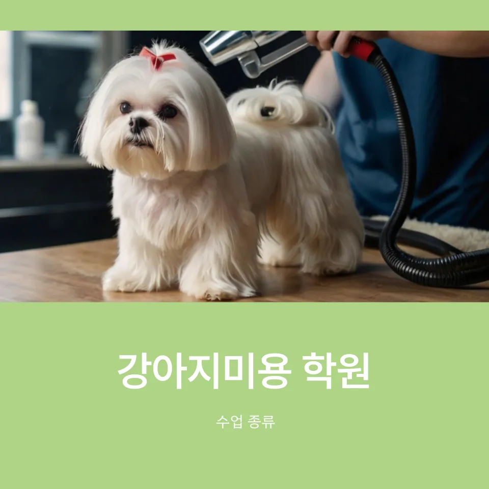 강아지미용 취업반, 실력 향상 및 취업 성공 후기 — 사진 4
