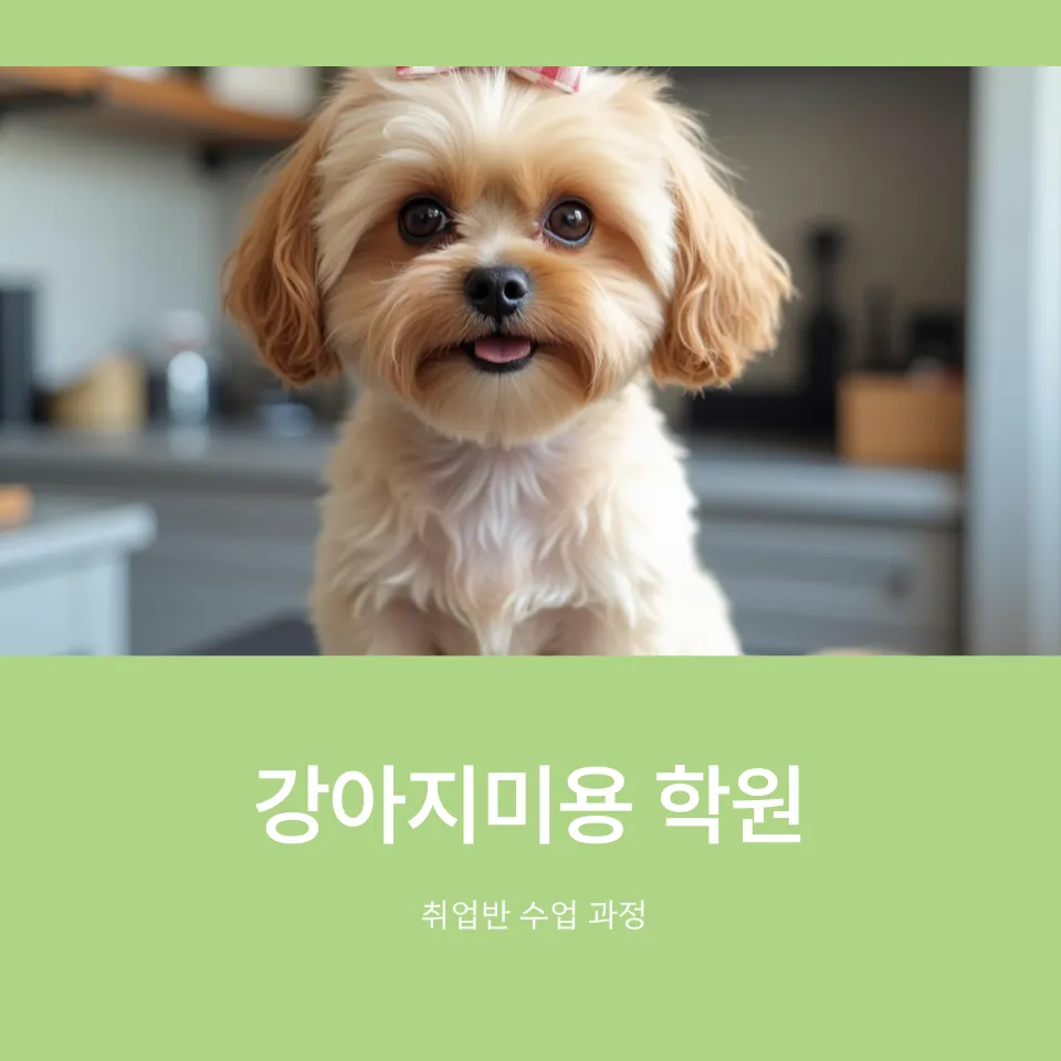 강아지미용 취업반, 실력 향상 및 취업 성공 후기 — 사진 5