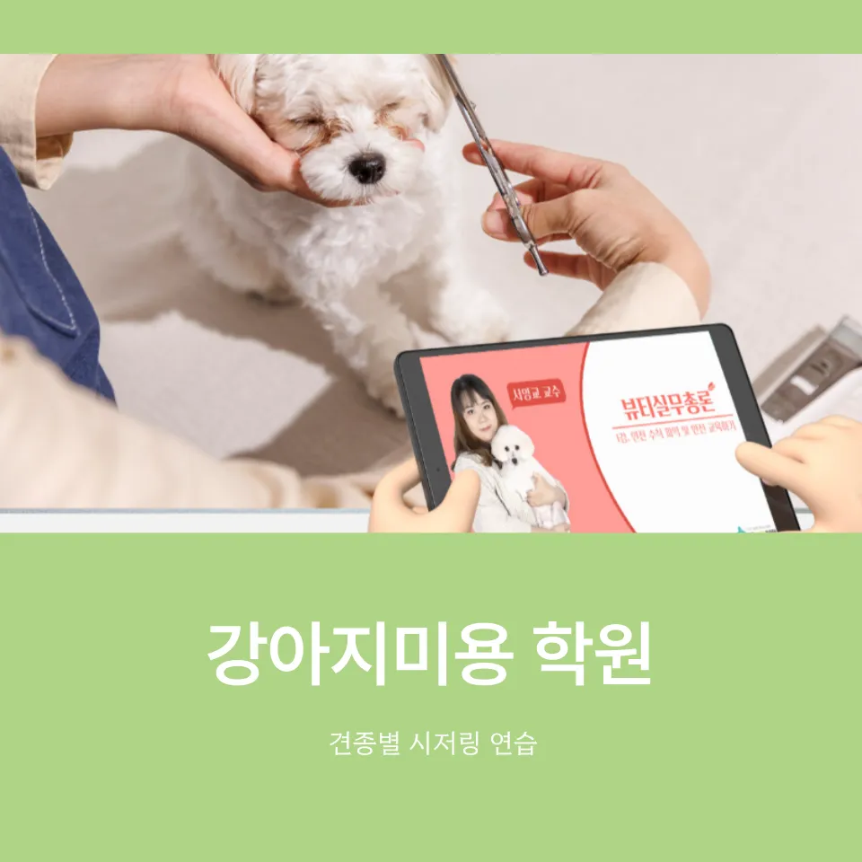 강아지미용 취업반, 실력 향상 및 취업 성공 후기 — 사진 8