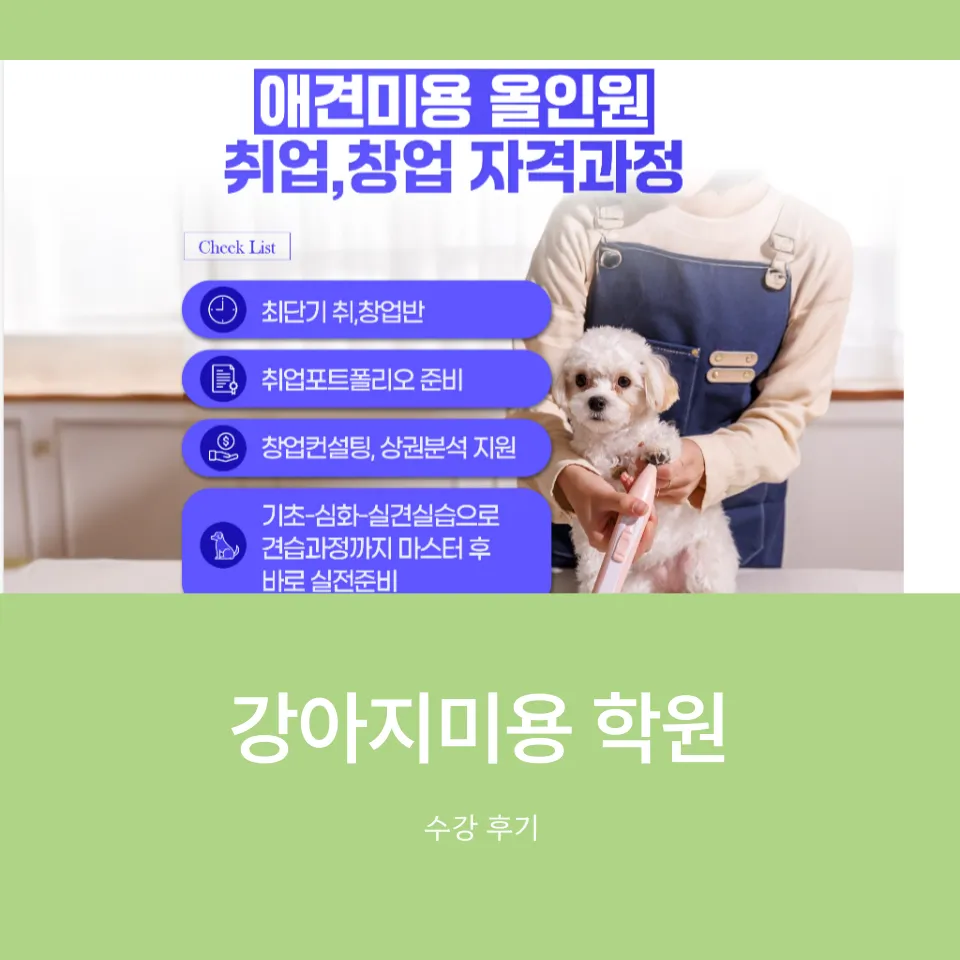 강아지미용 취업반, 실력 향상 및 취업 성공 후기 — 사진 11
