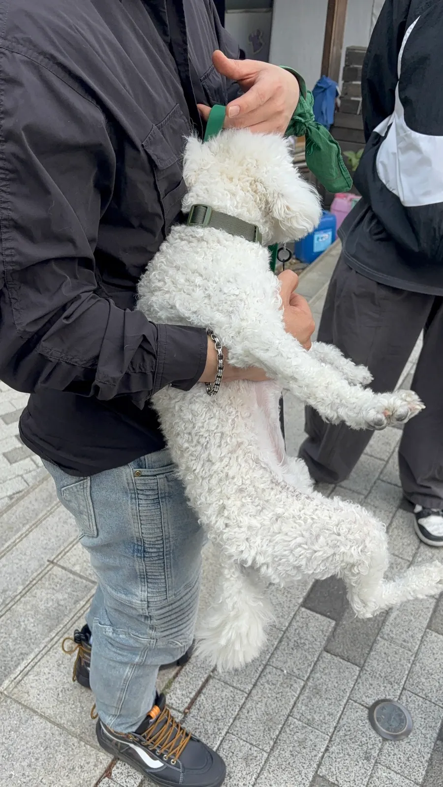 성동구 강아지 방문 훈련: 30년 경력 전문가와 문제 행동 개선 — 사진 8