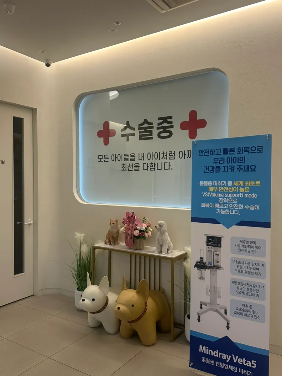 강아지 슬개골 수술 후기: 아리의 회복 과정과 비용 — 사진 5