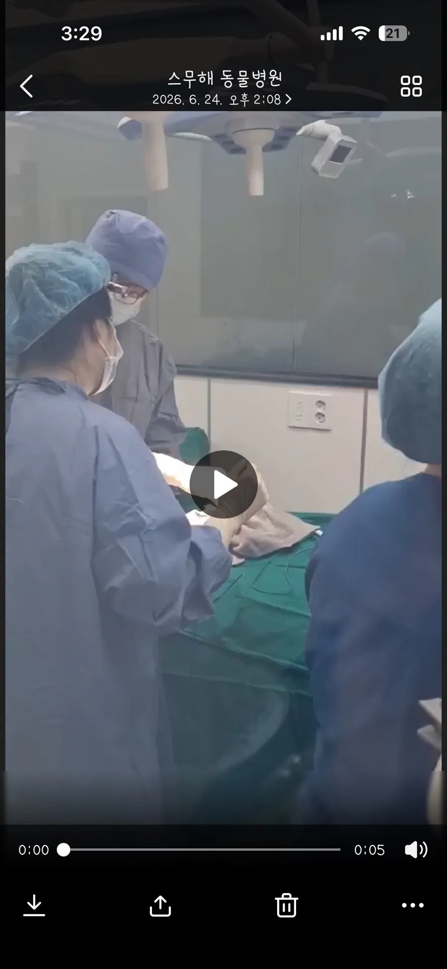 강아지 슬개골 수술 후기: 아리의 회복 과정과 비용 — 사진 8