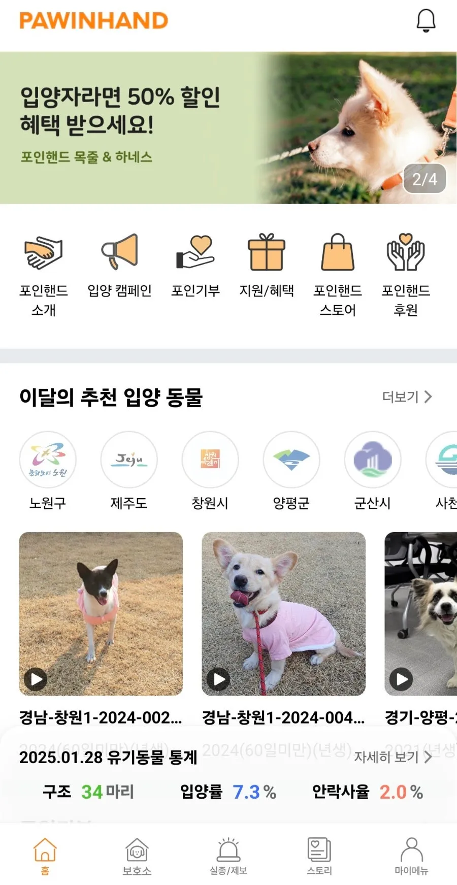 사천시 유기견 입양 후기: 포인핸드 앱으로 보리 만나기 — 사진 4