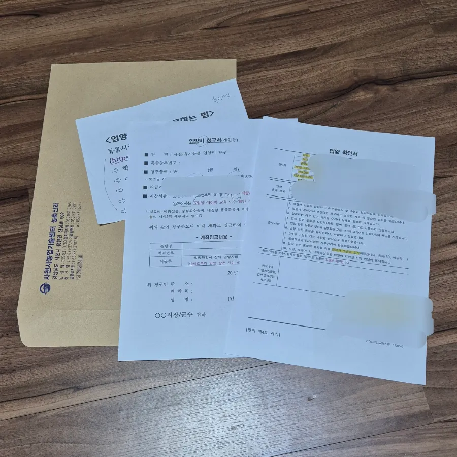 사천시 유기견 입양 후기: 포인핸드 앱으로 보리 만나기 — 사진 6