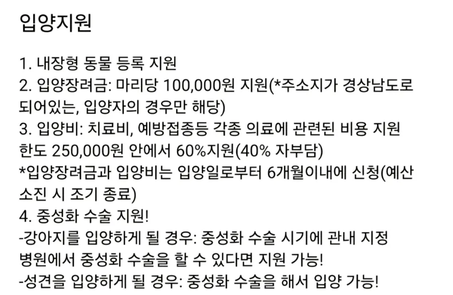 사천시 유기견 입양 후기: 포인핸드 앱으로 보리 만나기 — 사진 7