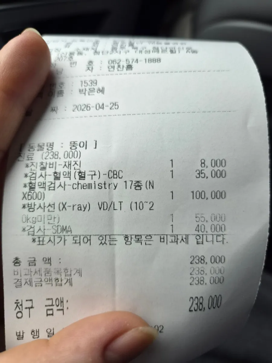 11살 노견 건강검진 항목 및 비용: YB동물병원 후기 — 사진 8