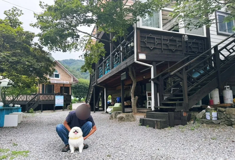가평 강아지 행동교정 훈련: 입질·짖음·분리불안 교육