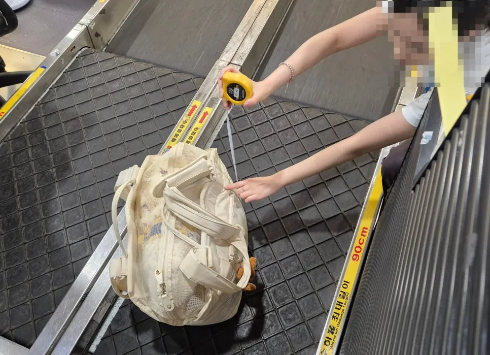 제주행 반려견 동반 항공 탑승 후기: 1살 강아지 비용 및 주의사항 — 사진 10