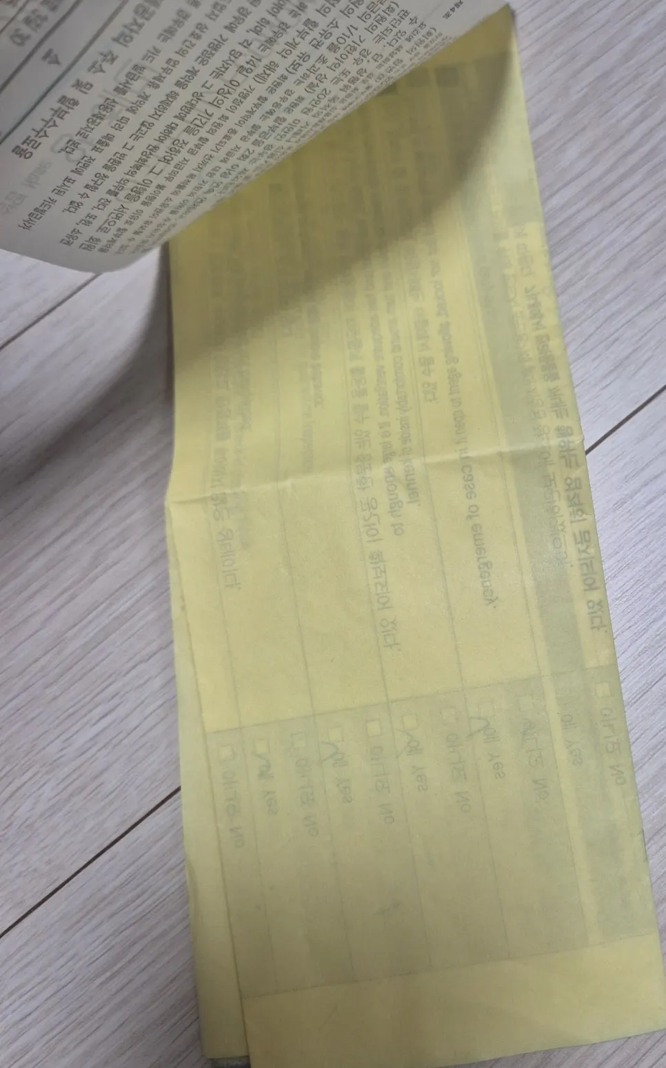 제주행 반려견 동반 항공 탑승 후기: 1살 강아지 비용 및 주의사항 — 사진 14