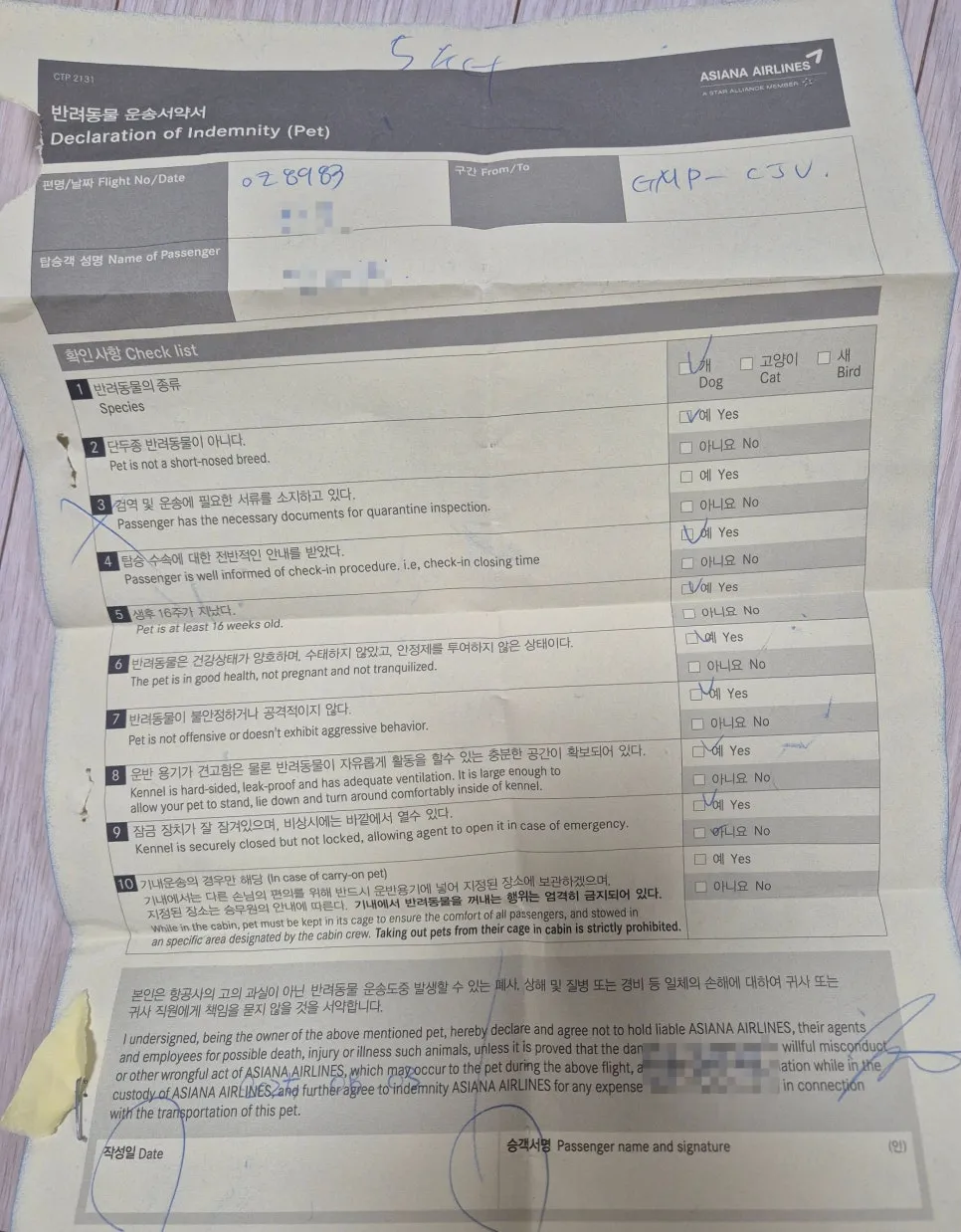 제주행 반려견 동반 항공 탑승 후기: 1살 강아지 비용 및 주의사항 — 사진 15