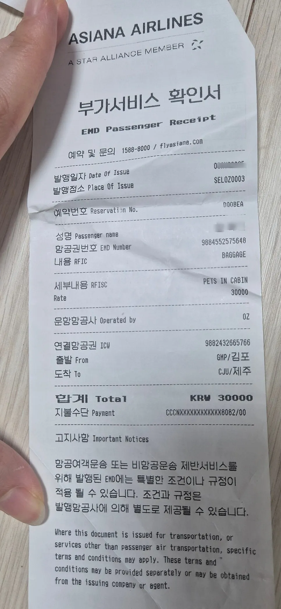 제주행 반려견 동반 항공 탑승 후기: 1살 강아지 비용 및 주의사항 — 사진 16