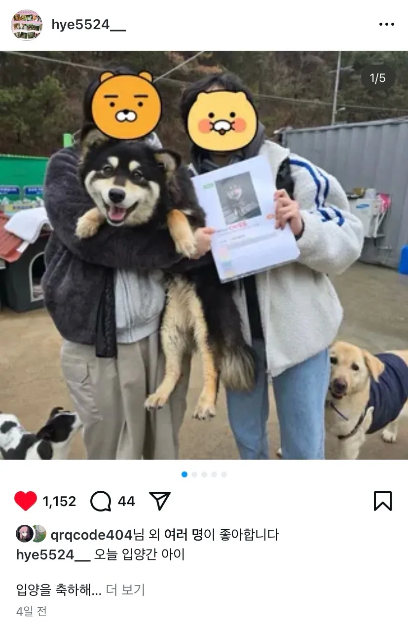 유기견 입양 후기: 먹물이 밀양 보호소에서 새 가족 되기 — 사진 3