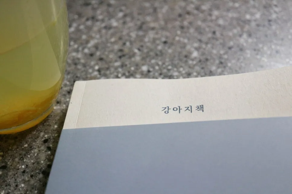강아지책 입양 후기: 유기견 에세이로 만나는 따뜻한 이야기