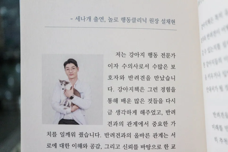 강아지책 입양 후기: 유기견 에세이로 만나는 따뜻한 이야기 — 사진 2