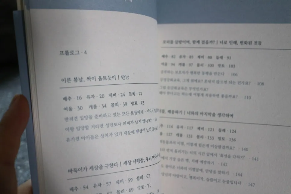 강아지책 입양 후기: 유기견 에세이로 만나는 따뜻한 이야기 — 사진 4