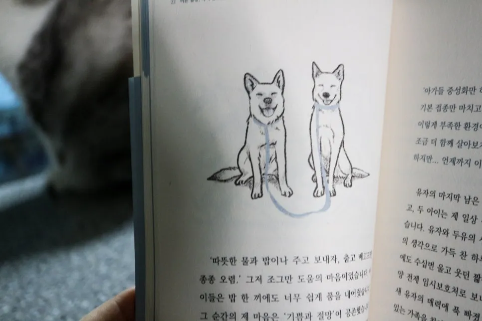 강아지책 입양 후기: 유기견 에세이로 만나는 따뜻한 이야기 — 사진 5