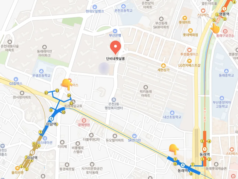 말티즈 가위컷, 동래 단비네펫살롱 방문 후기 — 사진 2