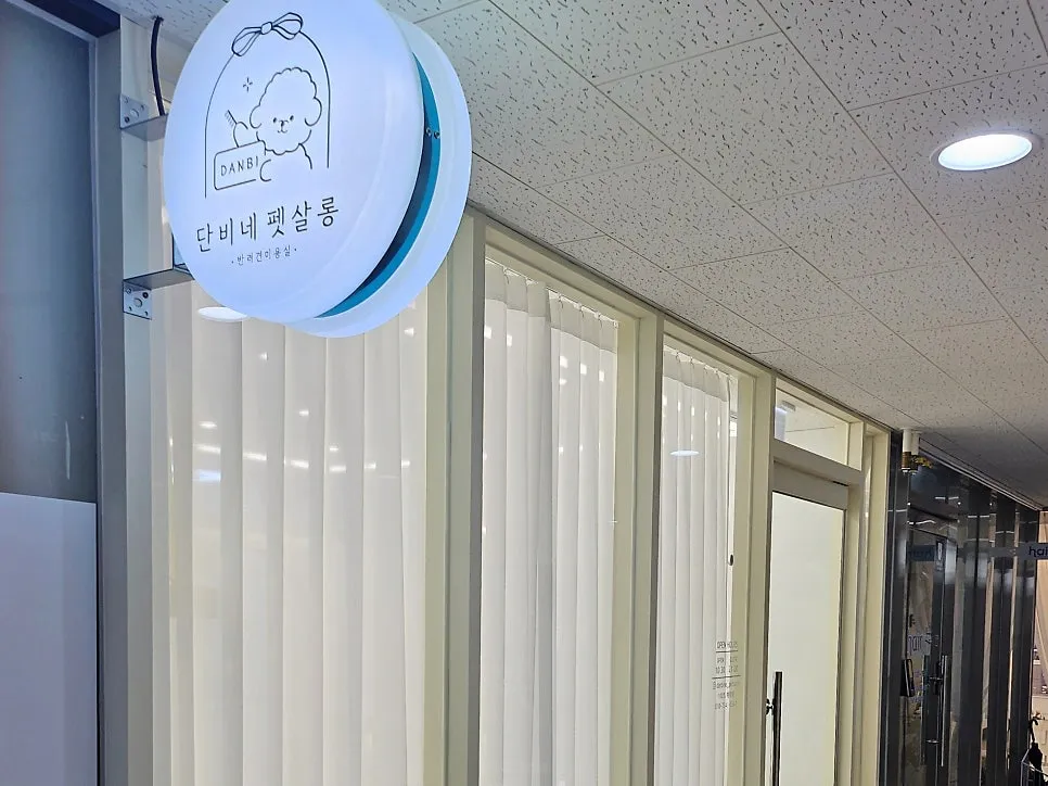 말티즈 가위컷, 동래 단비네펫살롱 방문 후기 — 사진 3
