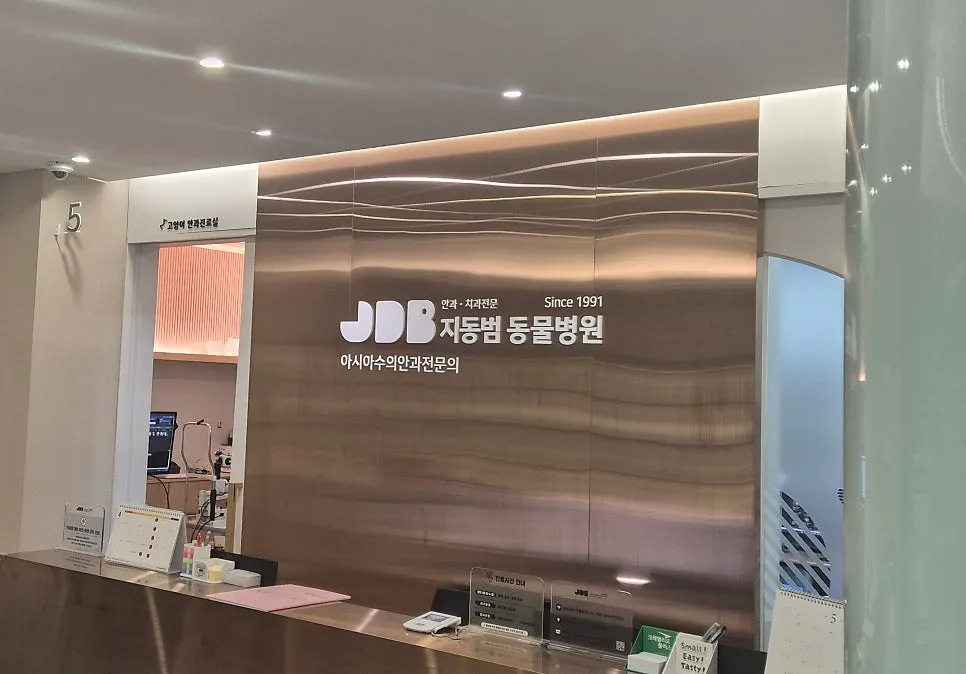 부산 고양이 안구적출 수술, 2차 동물병원 경험 후기 — 사진 3