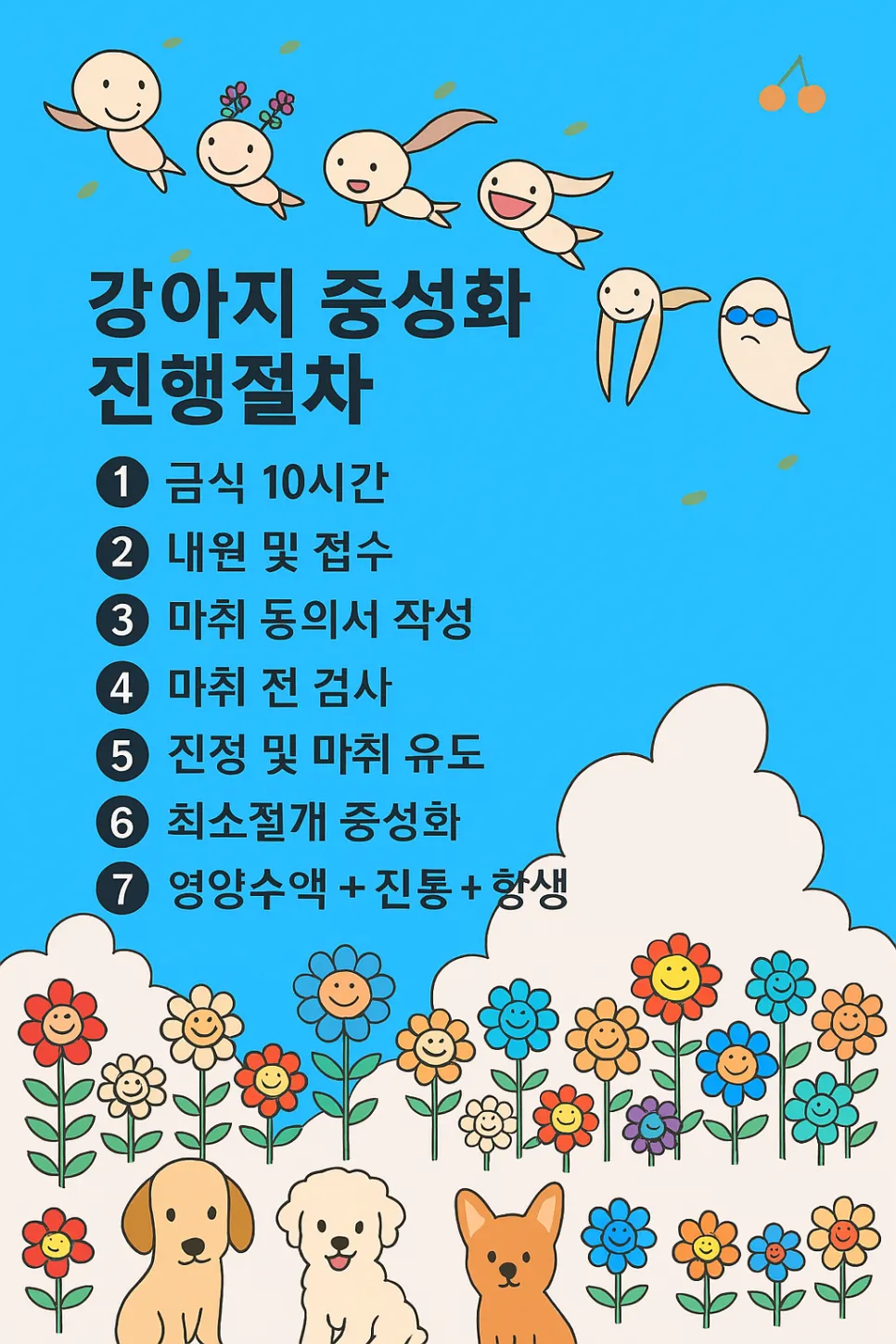 분당 포메라니안 암컷 중성화 수술 비용 및 후기