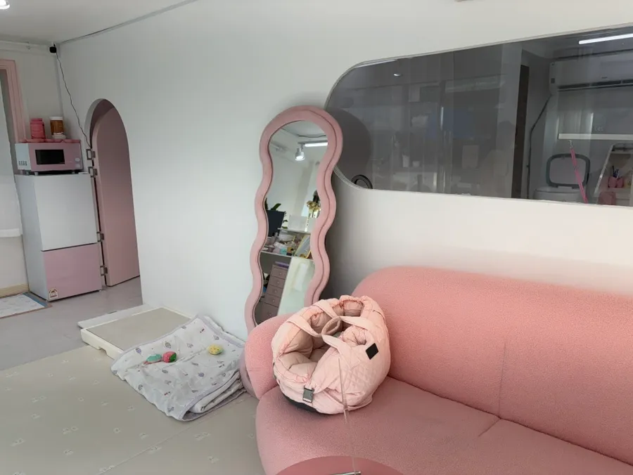 인천 포메라니안 미용: 화이트베베 1cm 곰돌이컷 후기 — 사진 6