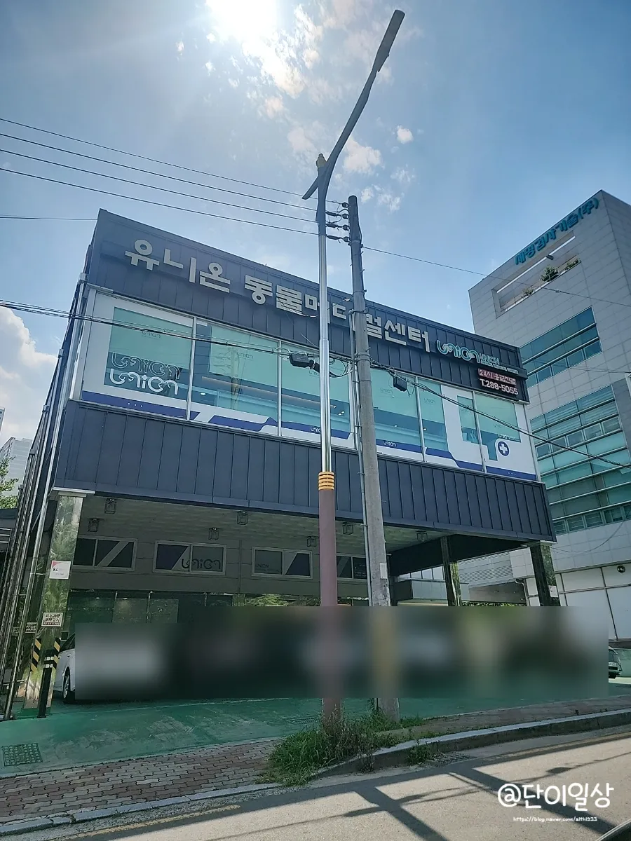 창원 고양이 2차 접종, 유니온동물병원 후기 및 비용 안내 — 사진 2