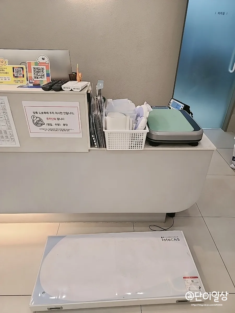 창원 고양이 2차 접종, 유니온동물병원 후기 및 비용 안내 — 사진 6